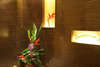 Patong Paragon Hotel 